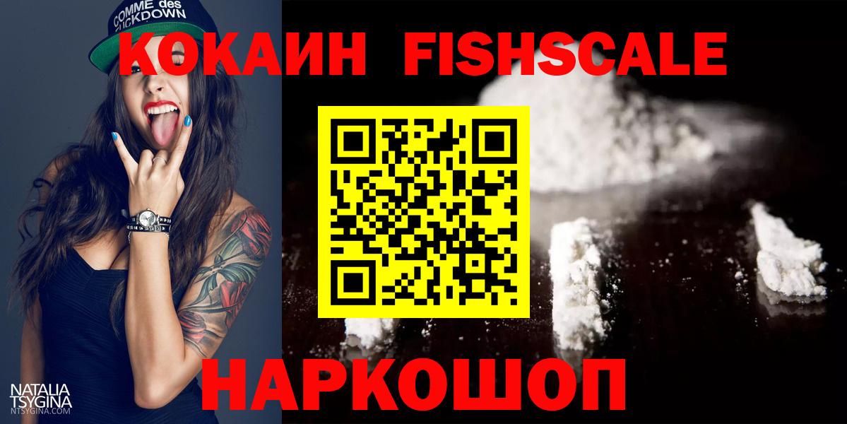 COCAIN Fish Scale  Кокаин  Северск  Вход с VPN 