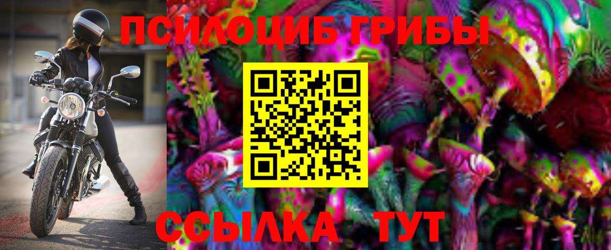 Северск  наркотики  Вход с VPN  Галлюциногенные грибы GOLDEN TEACHER  Галлюциногенные грибы Psilocybe 