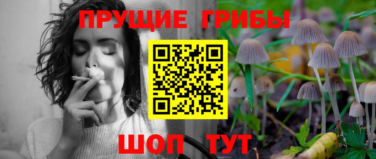 Галлюциногенные грибы мухоморы Северск